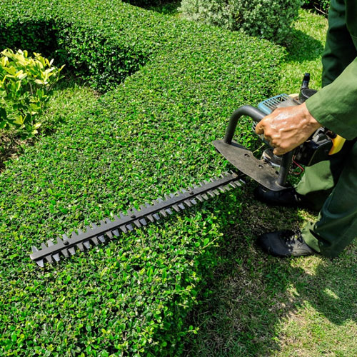 Hedge maintenance